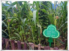 豪门国际官网-追求康健,你我一起生长