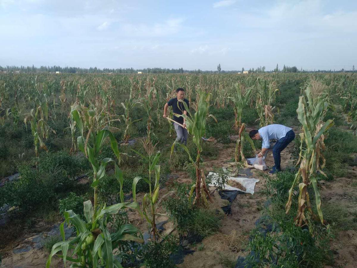 豪门国际官网-追求康健,你我一起生长