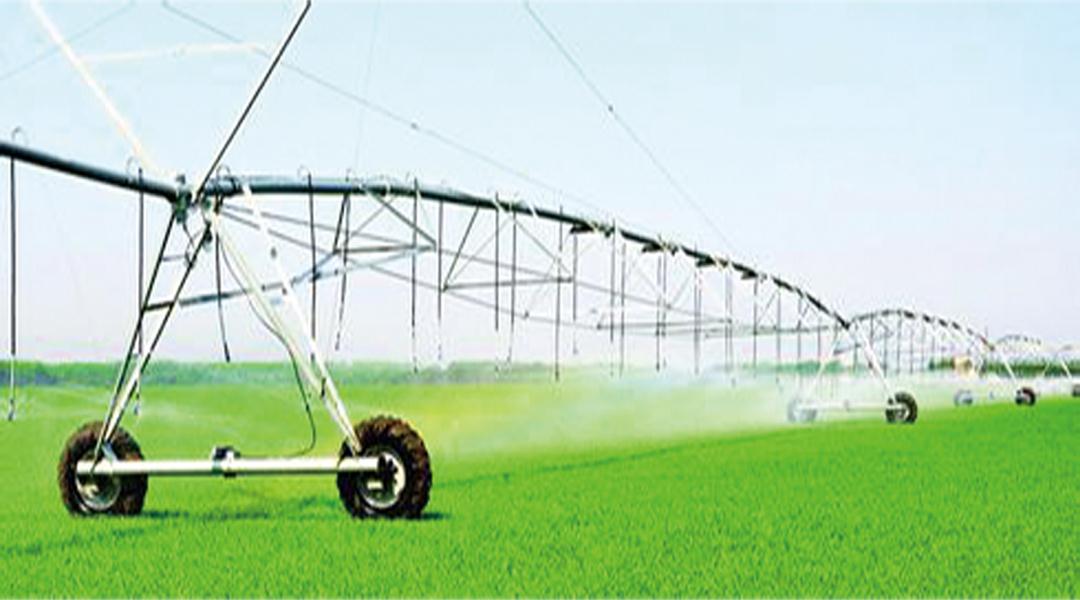 豪门国际官网-追求康健,你我一起生长