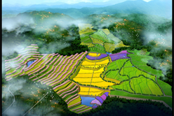 202012081335492487_248x166