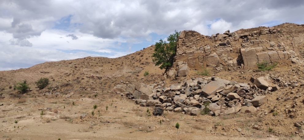 豪门国际官网-追求康健,你我一起生长