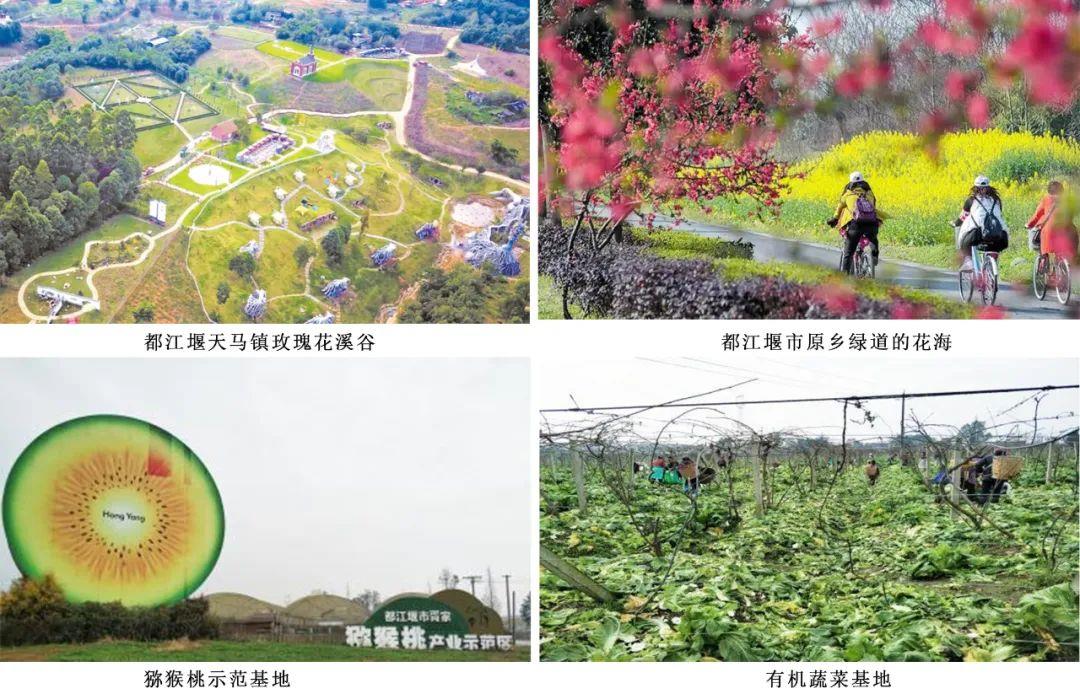 豪门国际官网-追求康健,你我一起生长