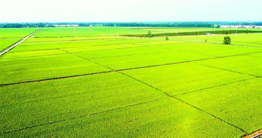 豪门国际官网-追求康健,你我一起生长