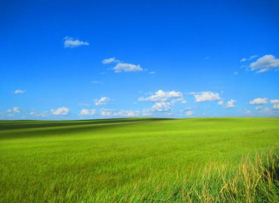 豪门国际官网-追求康健,你我一起生长