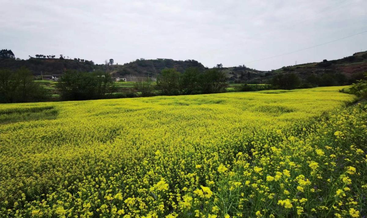 豪门国际官网-追求康健,你我一起生长