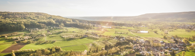豪门国际官网-追求康健,你我一起生长