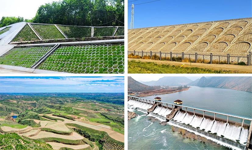 豪门国际官网-追求康健,你我一起生长