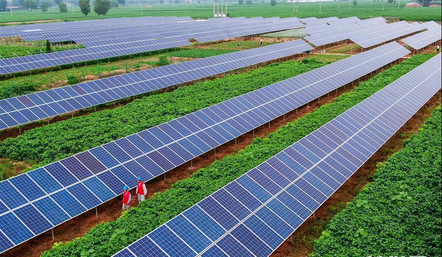 豪门国际官网-追求康健,你我一起生长