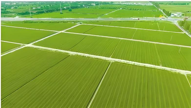 豪门国际官网-追求康健,你我一起生长