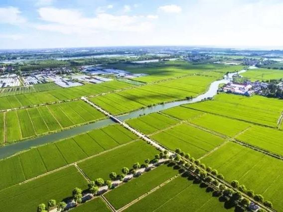 豪门国际官网-追求康健,你我一起生长