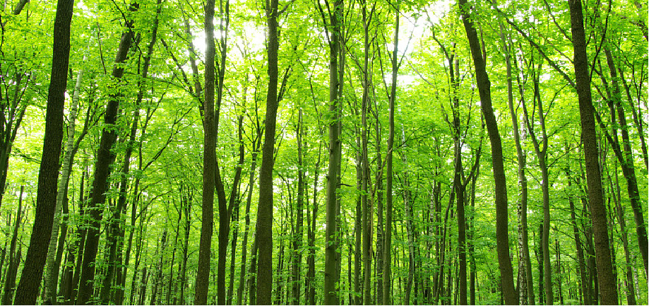 豪门国际官网-追求康健,你我一起生长